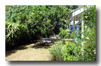 jardin