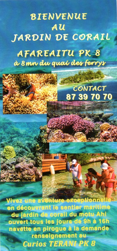 le jardin de corail