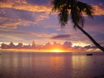couch� de soleil et cocotier